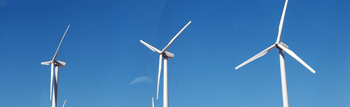 %e5%9b%be%e7%89%87116