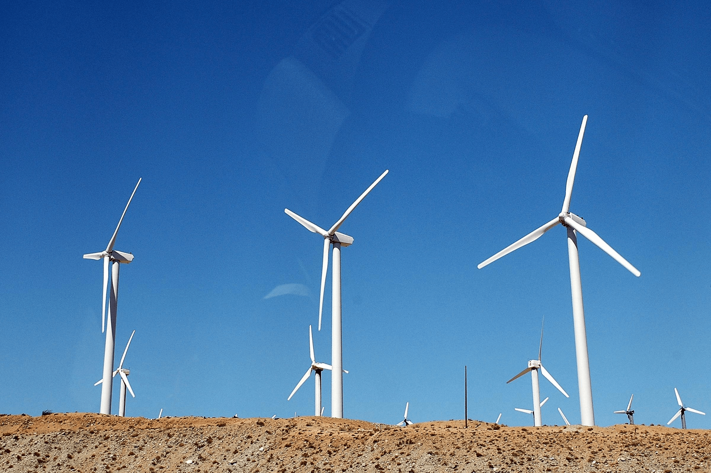 %e5%9b%be%e7%89%87116